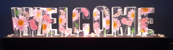 CjV@At@xbg@W@IuWF@sN LED WELCOME