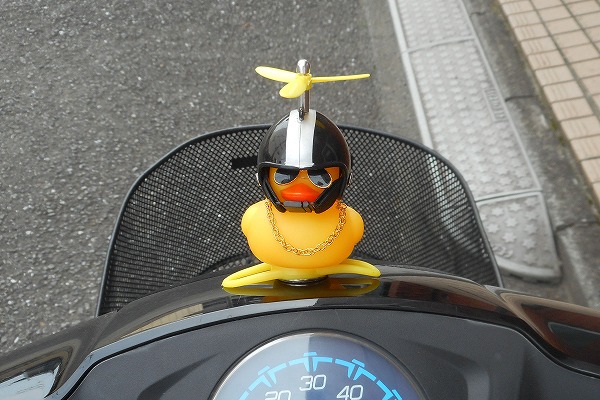 �ǂ��ł������t���������Č���A�q�� �u���b�N �o�C�N