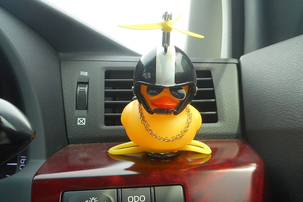 �ǂ��ł������t���������Č���A�q�� �u���b�N �����ԁ@��