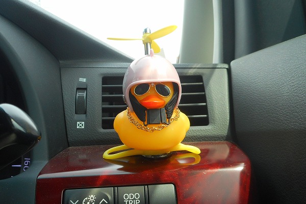 �ǂ��ł������t���������Č���A�q�� �s���N �����ԁ@�ԁ@�J�[