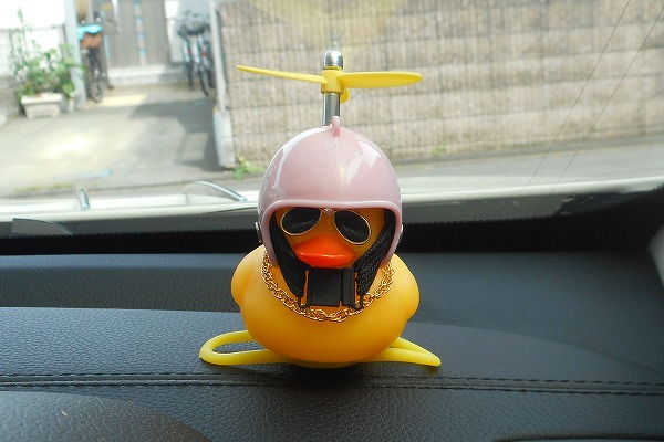 �ǂ��ł������t���������Č���A�q�� �s���N �����ԁ@�ԁ@�J�[�A�N�Z�T���[