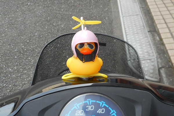 �ǂ��ł������t���������Č���A�q�� �s���N �o�C�N