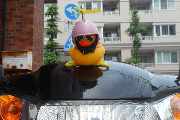 �ǂ��ł������t���������Č���A�q�� �s���N �o�C�N�@�O����