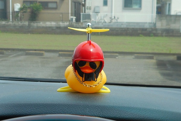 �ǂ��ł������t���������Č���A�q�� ���b�h �����ԁ@�ԁ@�J�[