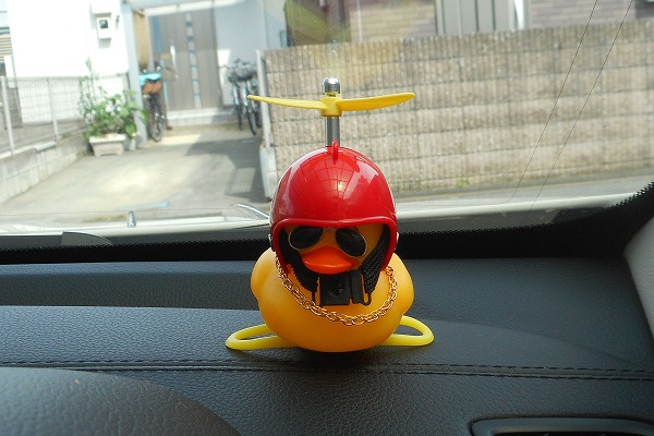 �ǂ��ł������t���������Č���A�q�� ���b�h �����ԁ@�ԁ@�J�[�A�N�Z�T���[