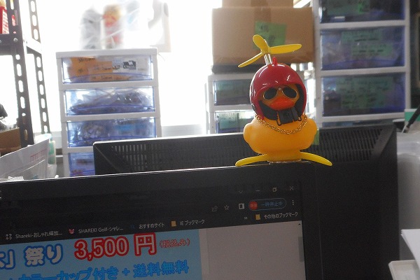 �ǂ��ł������t���������Č���A�q�� ���b�h �����ԁ@�ԁ@�J�[�G�A�R��