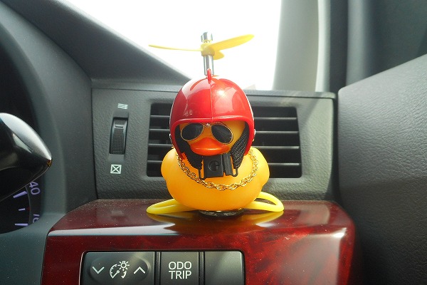 �ǂ��ł������t���������Č���A�q�� ���b�h �����ԁ@��