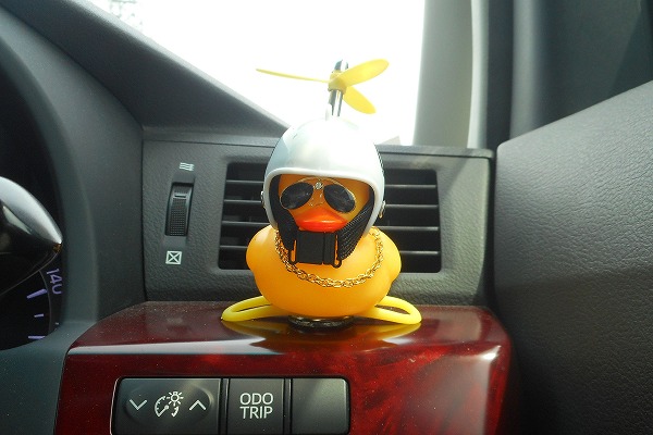 どこでもくっ付き音が鳴って光るアヒル ホワイト 自動車 車 カーアクセサリー