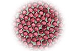 SHAREKI ホットフィックス チェリーピンク(cherry pink)