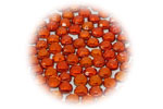 SHAREKI ホットフィックス オレンジ(orange)