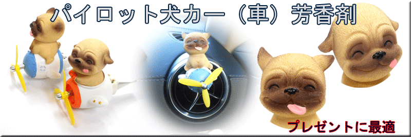 �� �p�C���b�g �J�[�G�A�R�� �A�N�Z�T���[