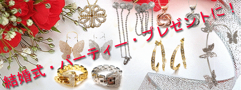 �p�[�e�B�[�A�N�Z�T���[